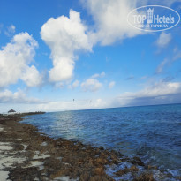 фото из отзыва ID 2163822