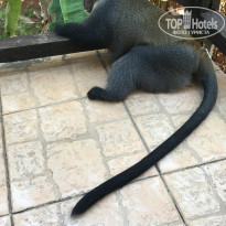 фото из отзыва ID 2164611