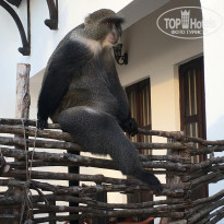 фото из отзыва ID 2164611