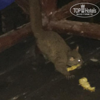 фото из отзыва ID 2164611