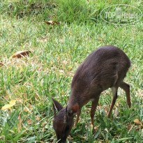 фото из отзыва ID 2164611