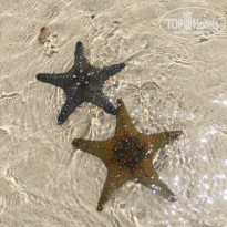 фото из отзыва ID 2164611