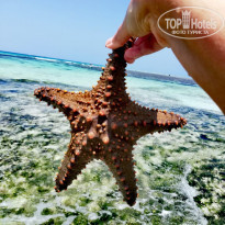 фото из отзыва ID 2164611