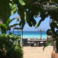 фото из отзыва ID 2164611