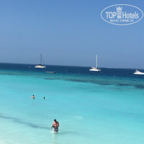 фото из отзыва ID 2164611