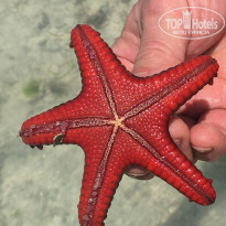 фото из отзыва ID 2164611