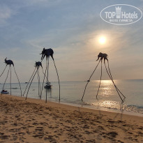 фото из отзыва ID 2164706