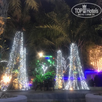 фото из отзыва ID 2164933