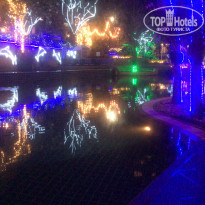 фото из отзыва ID 2164933