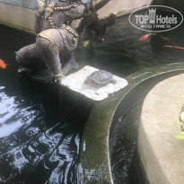 фото из отзыва ID 2164933