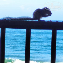 фото из отзыва ID 2164959