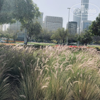 фото из отзыва ID 2165084