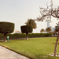 фото из отзыва ID 2165084