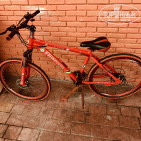 фото из отзыва ID 2165084