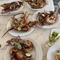 фото из отзыва ID 2165284