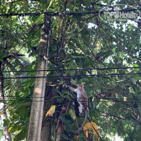 фото из отзыва ID 2165284