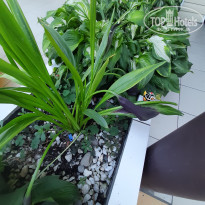 фото из отзыва ID 2165163