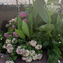 фото из отзыва ID 2165163