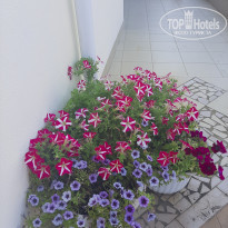 фото из отзыва ID 2165163