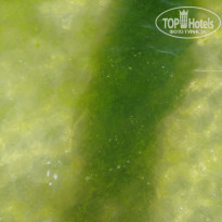 фото из отзыва ID 2165169