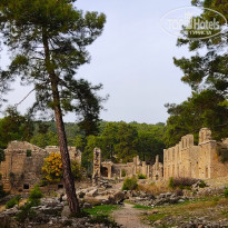 фото из отзыва ID 2165412