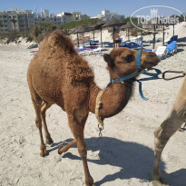 фото из отзыва ID 2165481