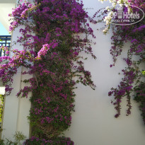 фото из отзыва ID 2165481