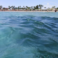 фото из отзыва ID 2165495