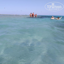 фото из отзыва ID 2165495