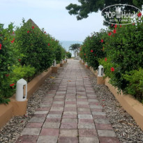 фото из отзыва ID 2165633