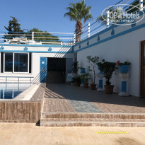 фото из отзыва ID 2165695