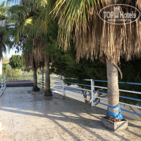 фото из отзыва ID 2165695