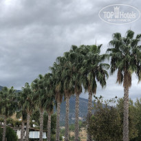 фото из отзыва ID 2165695