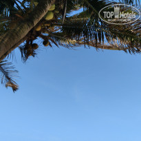 фото из отзыва ID 2165833