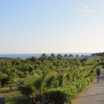 фото из отзыва ID 2165844