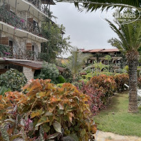 фото из отзыва ID 2165855