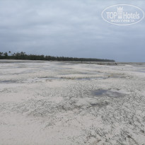 фото из отзыва ID 2165855