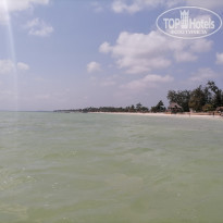 фото из отзыва ID 2165855