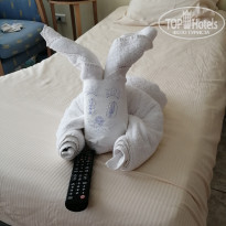 фото из отзыва ID 2165864