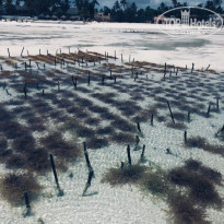 фото из отзыва ID 2165923