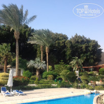 фото из отзыва ID 2165993