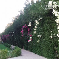 фото из отзыва ID 2165993