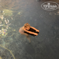 фото из отзыва ID 2166078