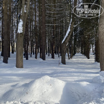 фото из отзыва ID 2166115