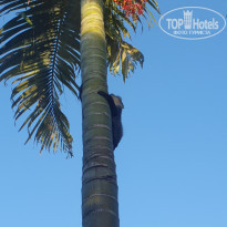 фото из отзыва ID 2166125