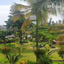 фото из отзыва ID 2166125