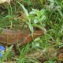 фото из отзыва ID 2166125