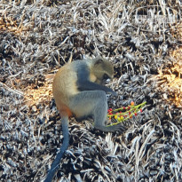 фото из отзыва ID 2166125