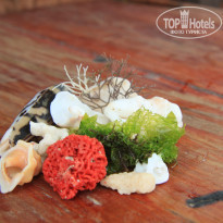 фото из отзыва ID 2166191