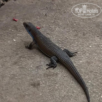 фото из отзыва ID 2166191